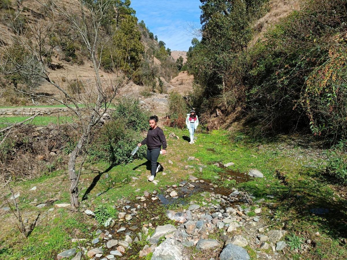 Skywood Resort Shoghi Shogi Zewnętrze zdjęcie