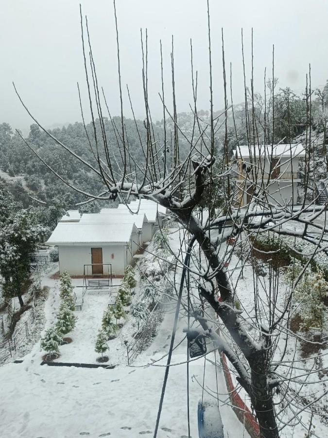 Skywood Resort Shoghi Shogi Zewnętrze zdjęcie