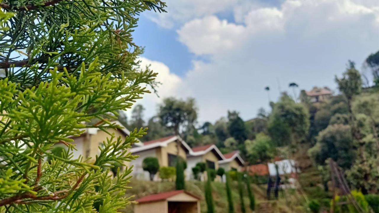 Skywood Resort Shoghi Shogi Zewnętrze zdjęcie